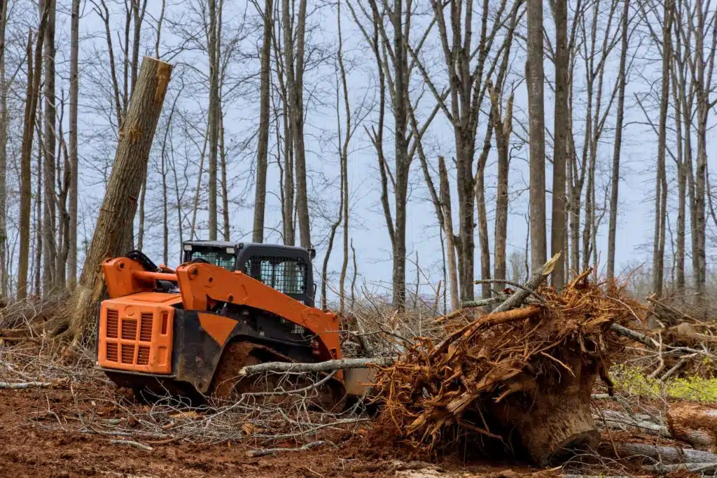 Tree clearing for housing preparation land new residential development